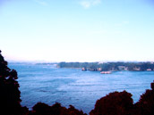 【写真】神奈川・三浦半島