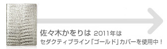 X؂2011N̓Z_NeBuCuS[hvJo[gpI