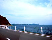 【写真】海沿いルートは帰り道で楽しみました
