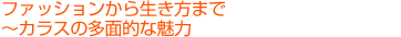 t@bV琶܂Ł`JX̑ʓIȖ 