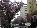 【写真】